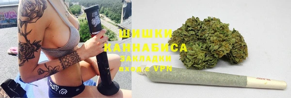 крисы Краснослободск