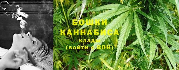 крисы Краснослободск