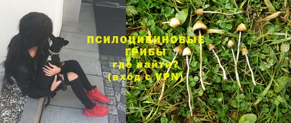 spice Кострома