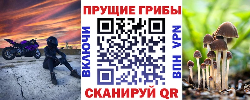 Галлюциногенные грибы ЛСД  Купить где  Мосальск 